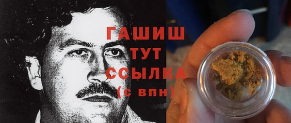 гашик Алексеевка