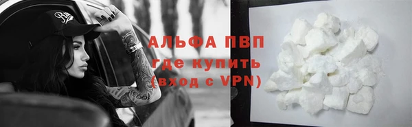 гашик Алексеевка