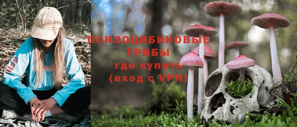 гашик Алексеевка