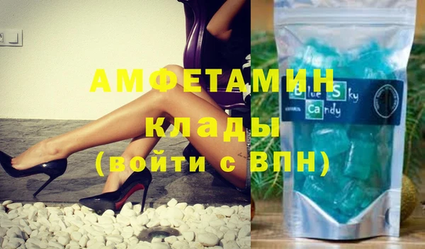 индика Алексин