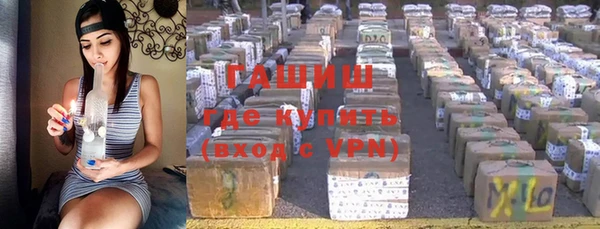 гашик Алексеевка