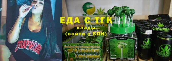 индика Алексин